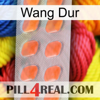 Hard Wang 26